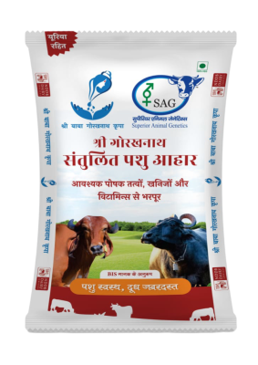 Cattle Feed