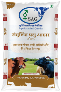 Gold Cattle Feed